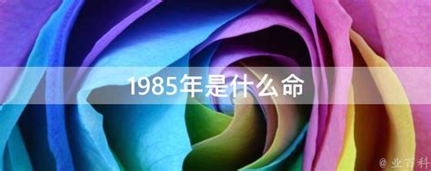 1985年是什么命